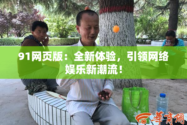 91网页版：全新体验，引领网络娱乐新潮流！