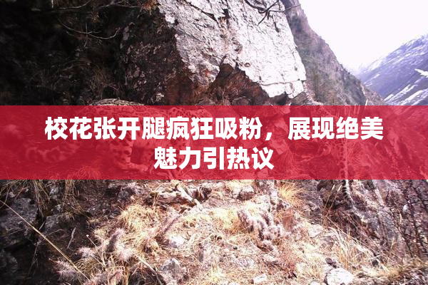 校花张开腿疯狂吸粉，展现绝美魅力引热议