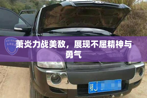 萧炎力战美敌，展现不屈精神与勇气