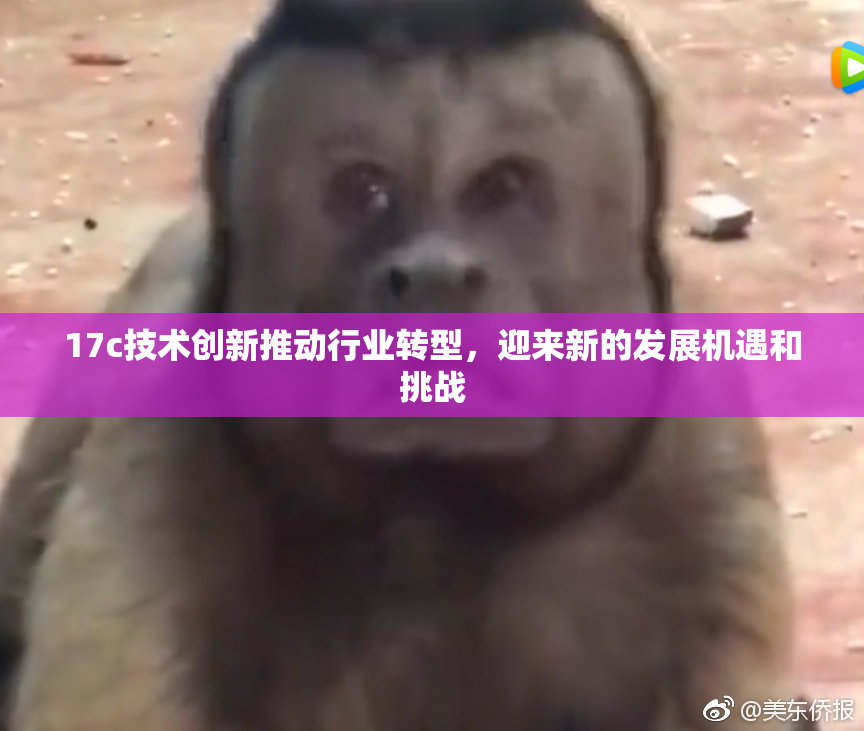 17c技术创新推动行业转型，迎来新的发展机遇和挑战