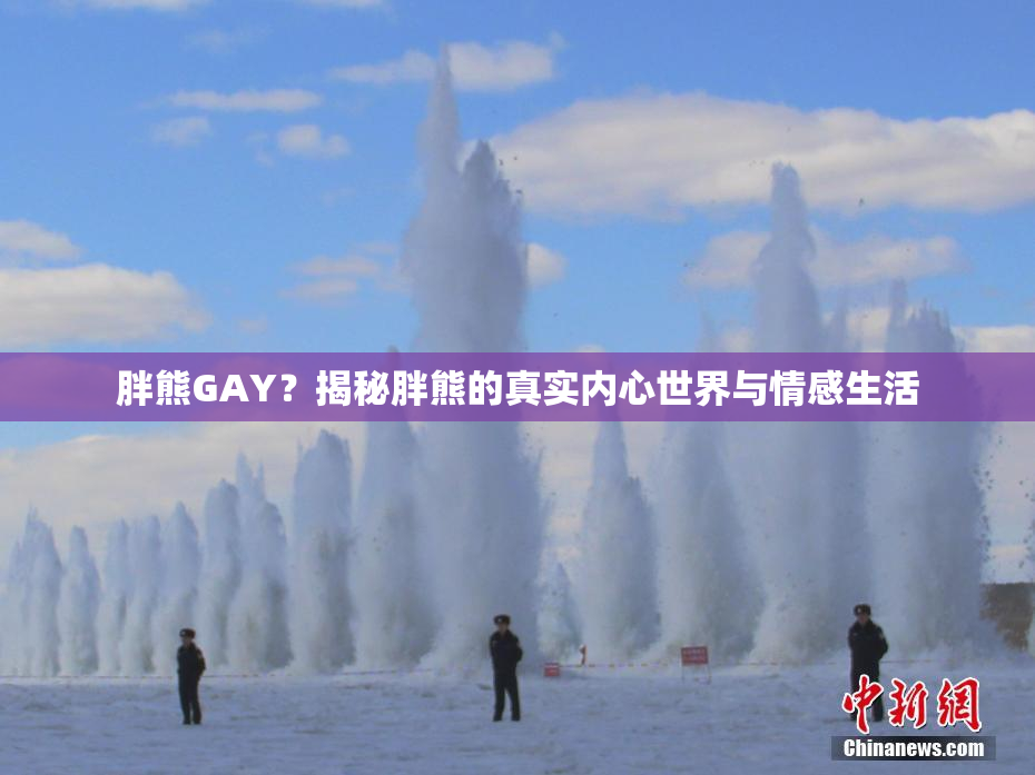 胖熊GAY？揭秘胖熊的真实内心世界与情感生活