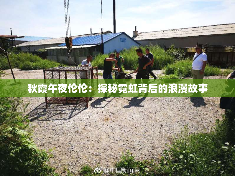 秋霞午夜伦伦：探秘霓虹背后的浪漫故事