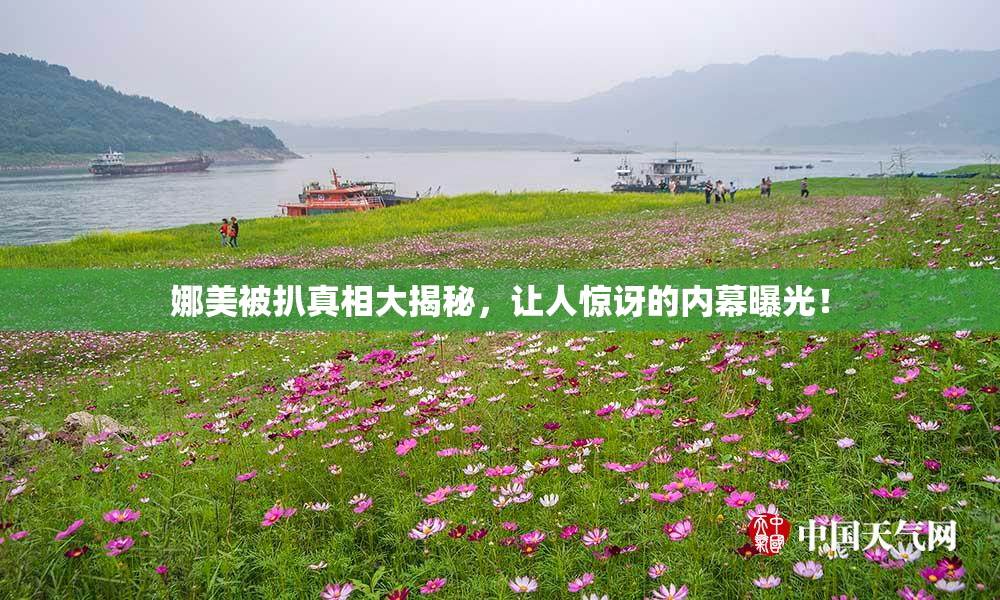 娜美被扒真相大揭秘，让人惊讶的内幕曝光！