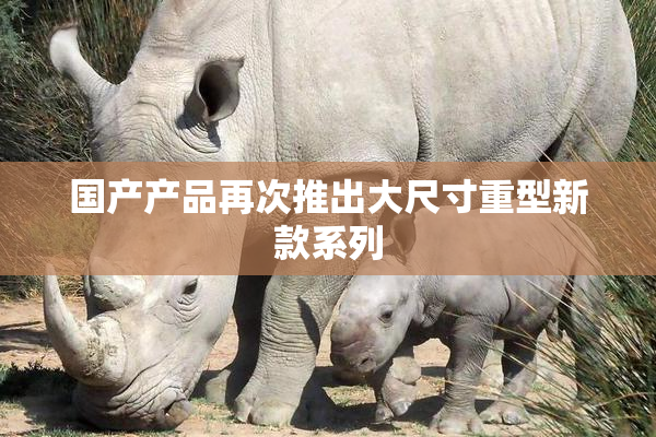 国产产品再次推出大尺寸重型新款系列