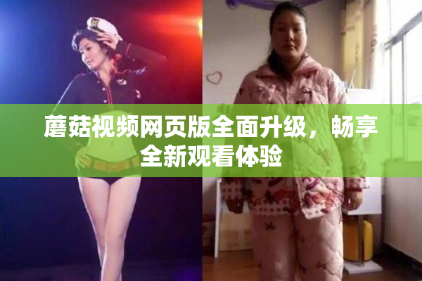 蘑菇视频网页版全面升级，畅享全新观看体验