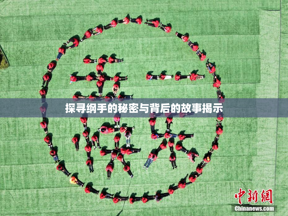探寻纲手的秘密与背后的故事揭示