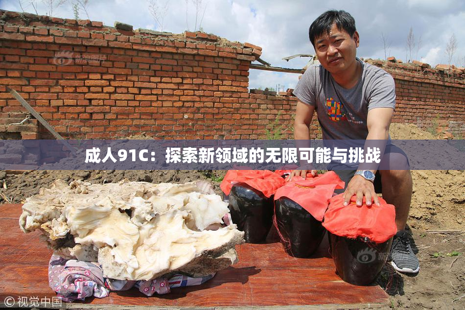 成人91C：探索新领域的无限可能与挑战