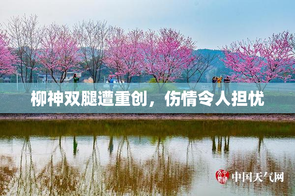 柳神双腿遭重创，伤情令人担忧