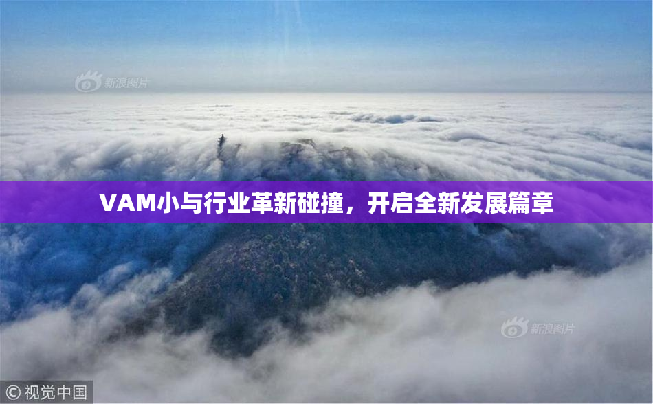 VAM小与行业革新碰撞，开启全新发展篇章