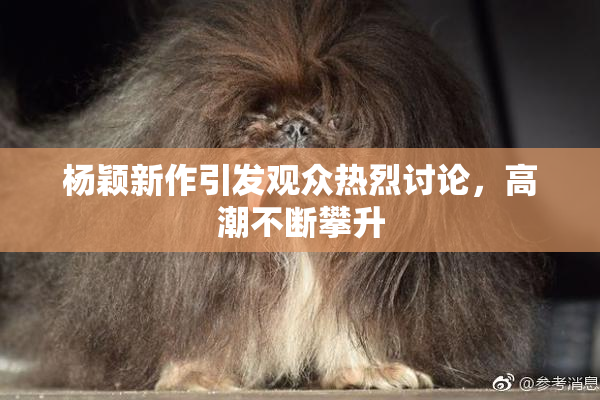 杨颖新作引发观众热烈讨论，高潮不断攀升