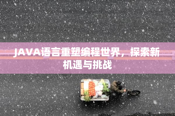 JAVA语言重塑编程世界，探索新机遇与挑战
