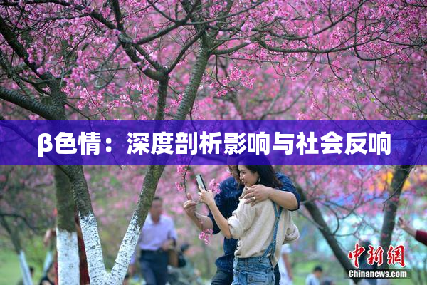 β色情：深度剖析影响与社会反响