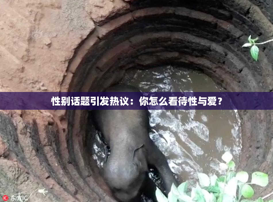 性别话题引发热议：你怎么看待性与爱？