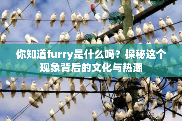 你知道furry是什么吗？探秘这个现象背后的文化与热潮