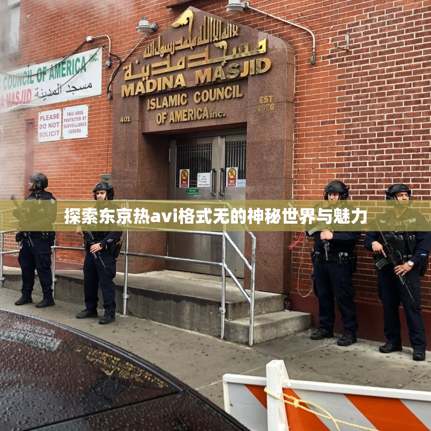 探索东京热avi格式无的神秘世界与魅力