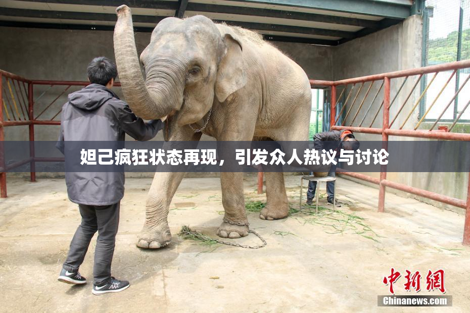 妲己疯狂状态再现，引发众人热议与讨论