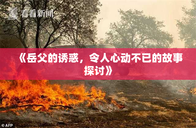 《岳父的诱惑，令人心动不已的故事探讨》