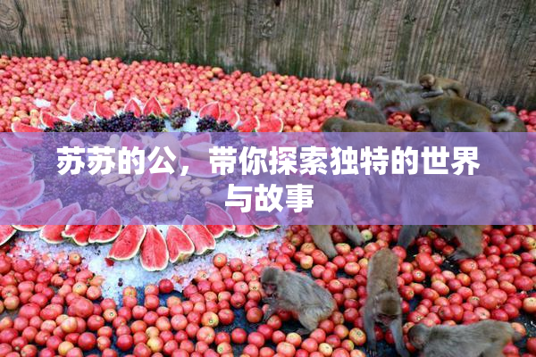 苏苏的公，带你探索独特的世界与故事