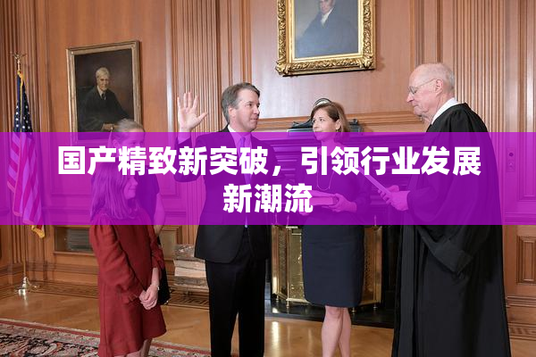 国产精致新突破，引领行业发展新潮流