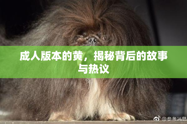 成人版本的黄，揭秘背后的故事与热议