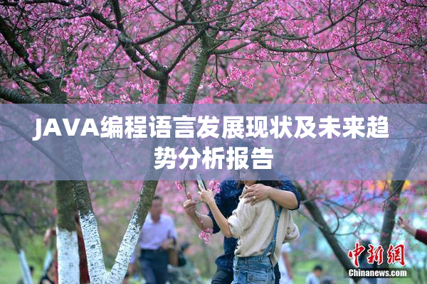 JAVA编程语言发展现状及未来趋势分析报告