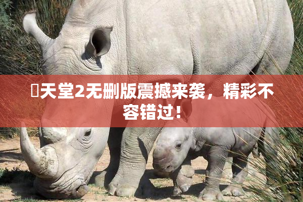 妺天堂2无删版震撼来袭，精彩不容错过！