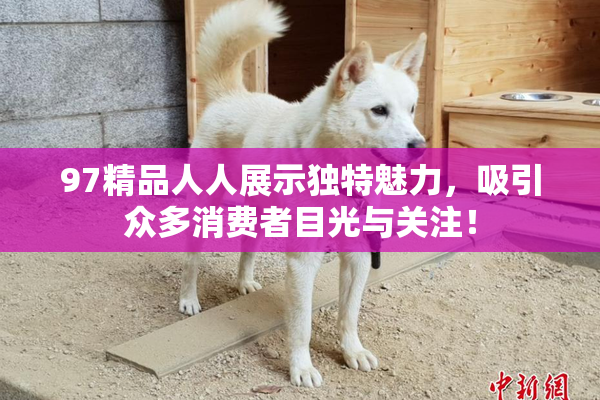 97精品人人展示独特魅力，吸引众多消费者目光与关注！