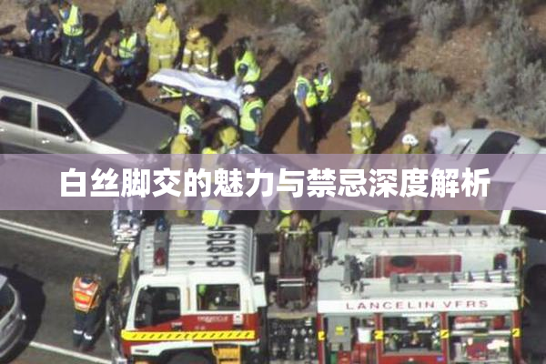 白丝脚交的魅力与禁忌深度解析