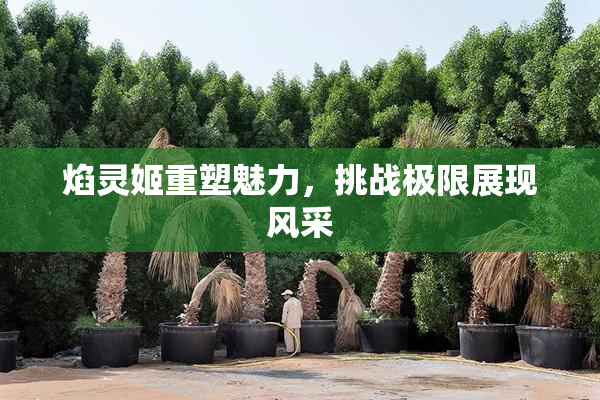 焰灵姬重塑魅力，挑战极限展现风采