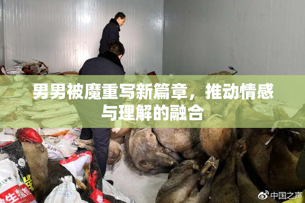 男男被魔重写新篇章，推动情感与理解的融合