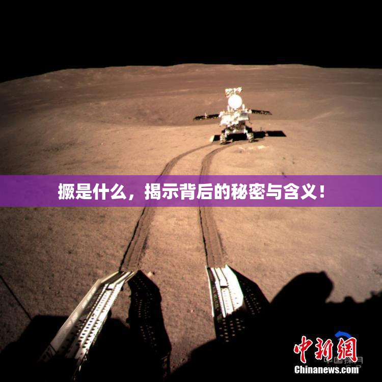 撅是什么，揭示背后的秘密与含义！
