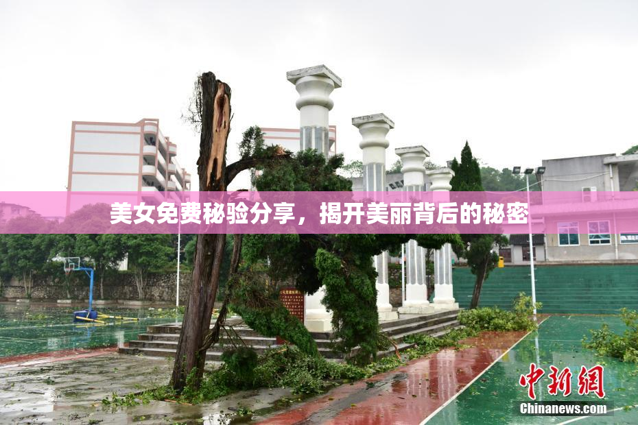 美女免费秘验分享，揭开美丽背后的秘密