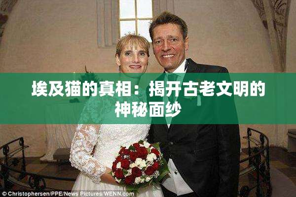 埃及猫的真相：揭开古老文明的神秘面纱