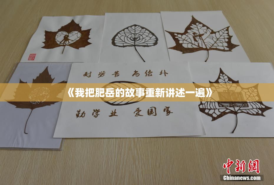 《我把肥岳的故事重新讲述一遍》