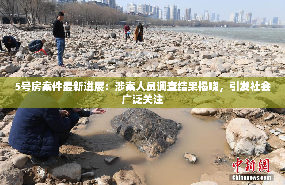 5号房案件最新进展：涉案人员调查结果揭晓，引发社会广泛关注