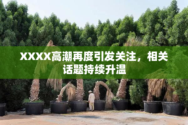 XXXX高潮再度引发关注，相关话题持续升温