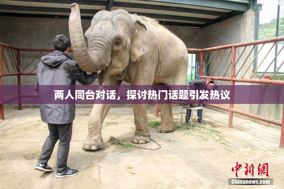 两人同台对话，探讨热门话题引发热议