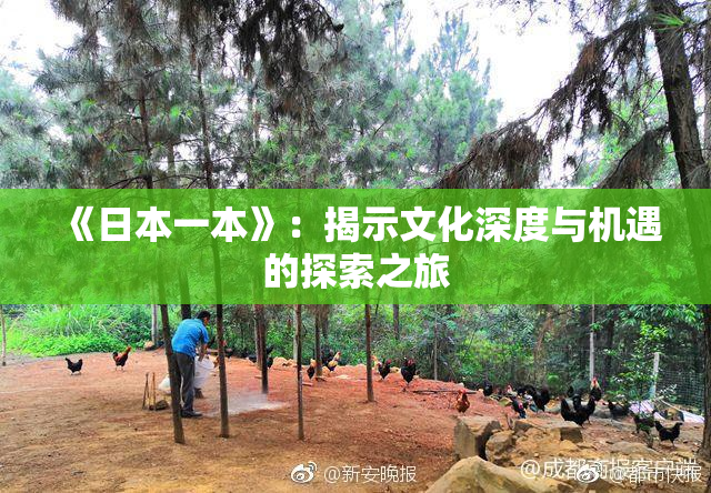 《日本一本》：揭示文化深度与机遇的探索之旅