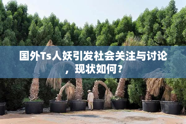 国外Ts人妖引发社会关注与讨论，现状如何？