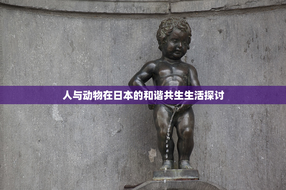 人与动物在日本的和谐共生生活探讨