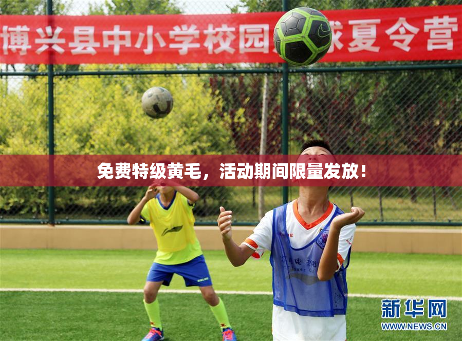 免费特级黄毛，活动期间限量发放！