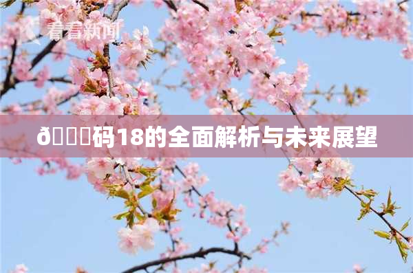 🈚码18的全面解析与未来展望