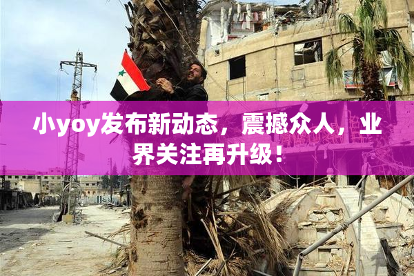 小yoy发布新动态，震撼众人，业界关注再升级！