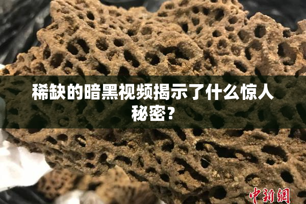 稀缺的暗黑视频揭示了什么惊人秘密？