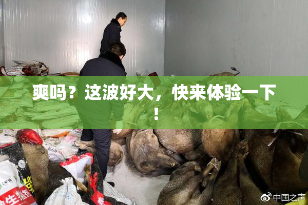 爽吗？这波好大，快来体验一下！