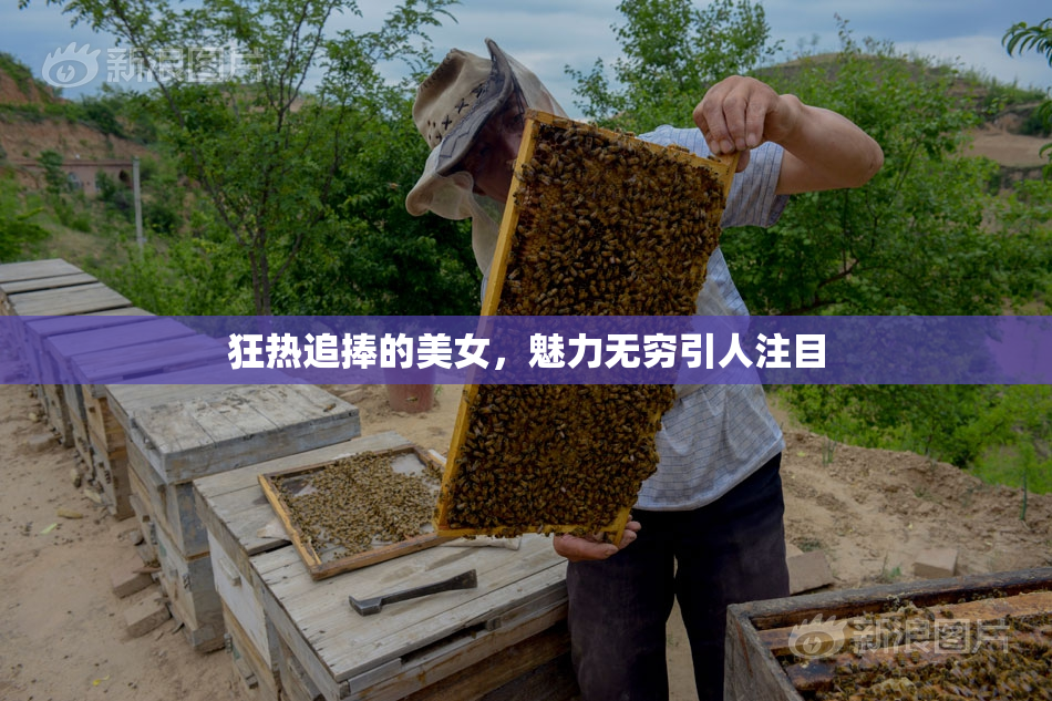 狂热追捧的美女，魅力无穷引人注目