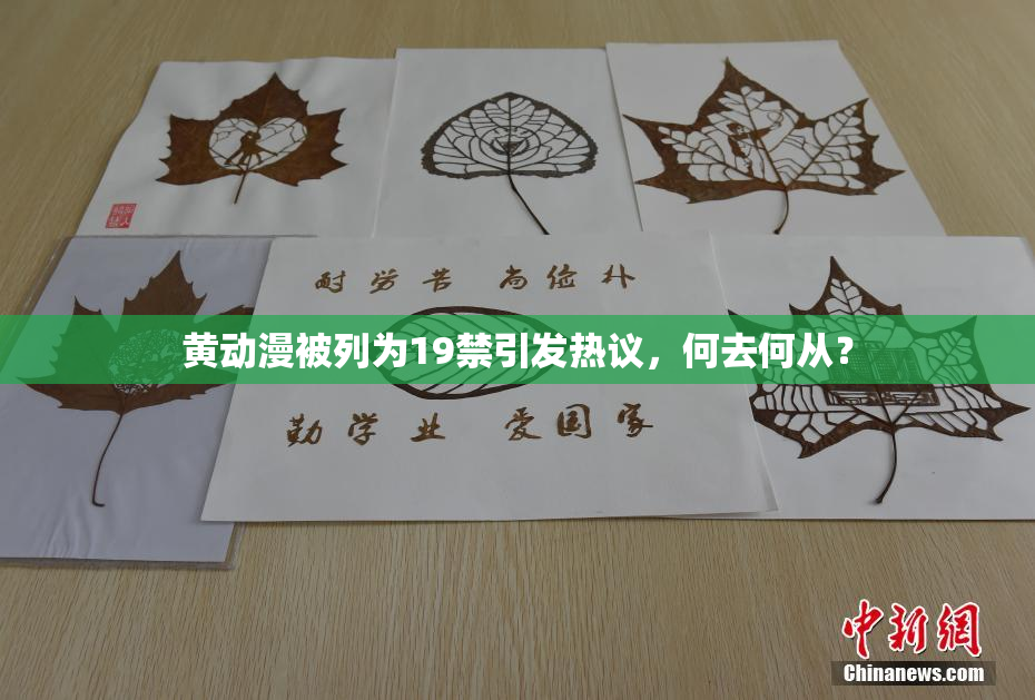 黄动漫被列为19禁引发热议，何去何从？