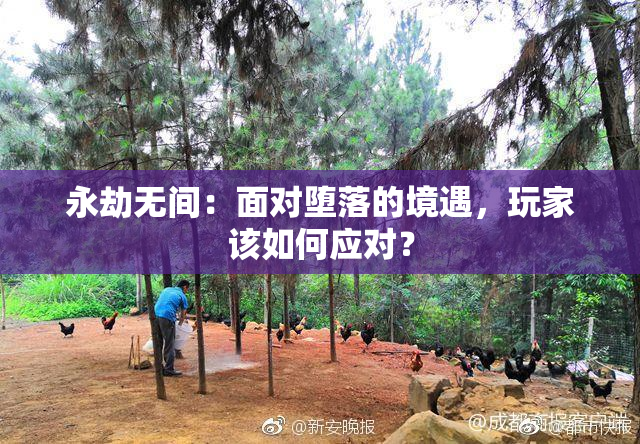 永劫无间：面对堕落的境遇，玩家该如何应对？