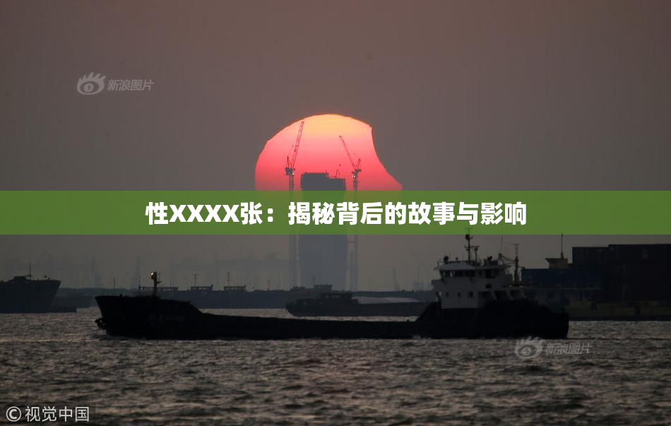 性XXXX张：揭秘背后的故事与影响