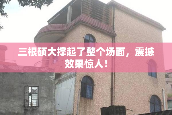 三根硕大撑起了整个场面，震撼效果惊人！